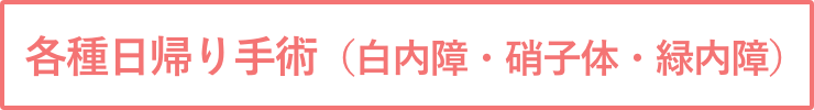 各種日帰り手術（白内障・硝子体・緑内障）