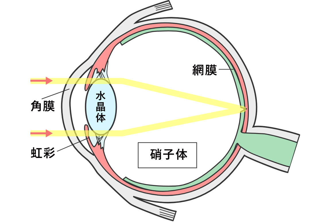 正常